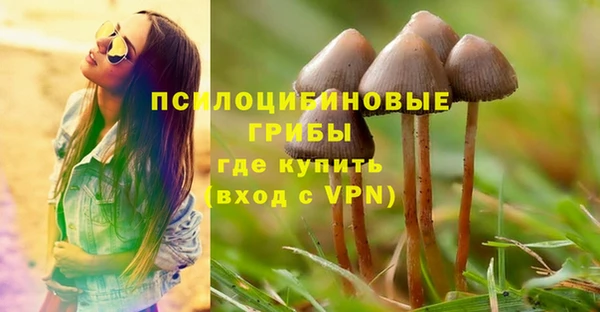 а пвп мука Белокуриха