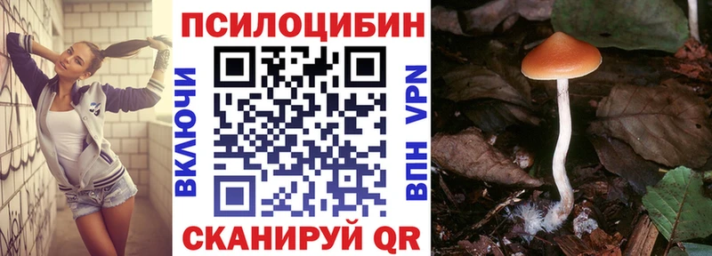 дарнет шоп  Горячий Ключ  Галлюциногенные грибы мицелий 