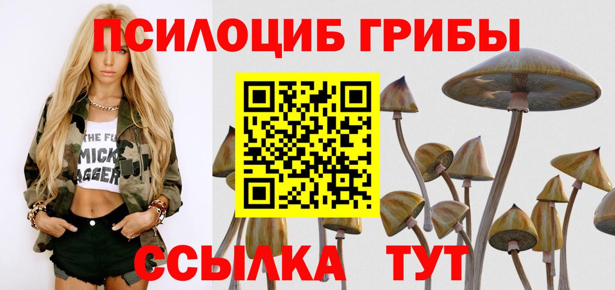 Галлюциногенные грибы Magic Shrooms Горячий Ключ