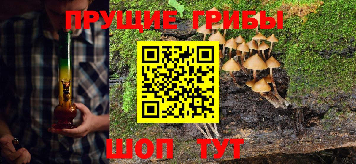 Псилоцибиновые грибы Cubensis  Вход с VPN  Горячий Ключ 